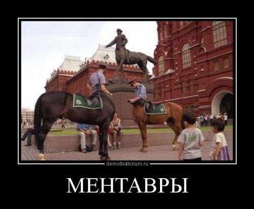 Список, который каждая женщина должна знать наизусть картинка Список, который каждая женщина должна знать наизусть картинка