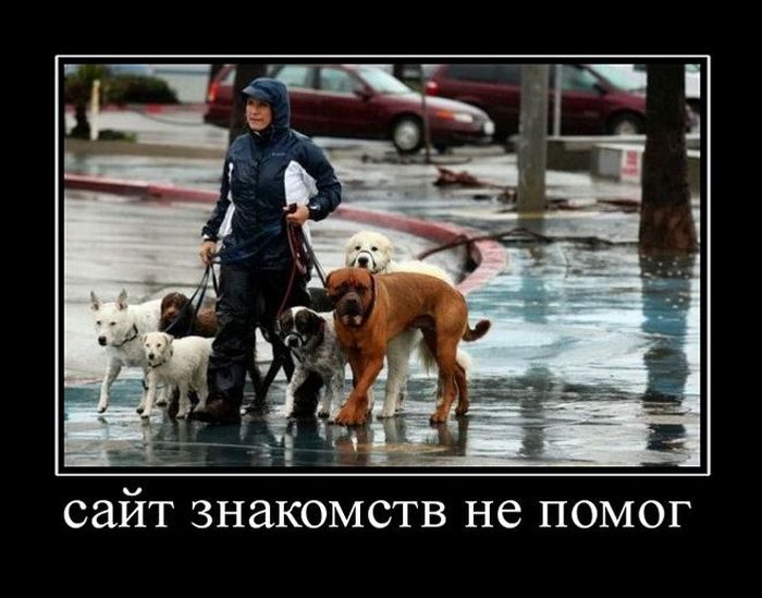 Демотиваторы о сайтах знакомств Демотиваторы о сайтах знакомств