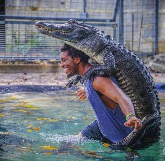 Весёлые картинки и хорошее настроение Юмор,приколы,прикольные картинки юмор