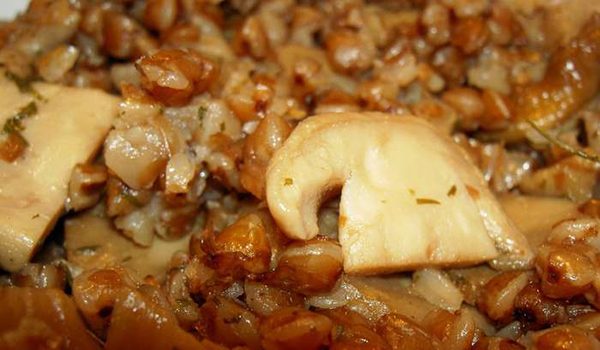 5 ���� �� ������