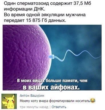 ������� ����������� �� ���������� �����