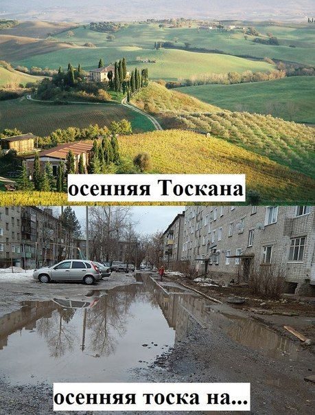 http://image3.thematicnews.com/uploads/images/05/67/30/2015/11/10/6805b7.jpg