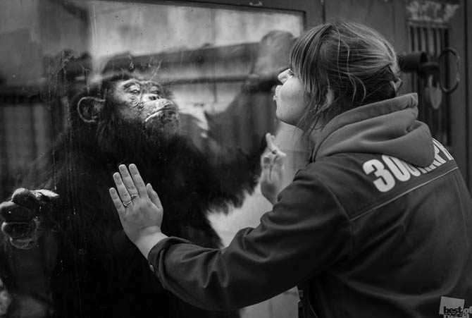 Winners of the photo contest «Best of Russia»