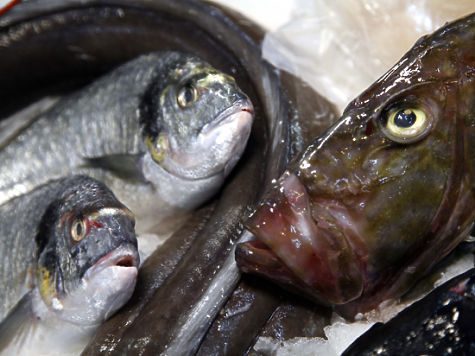 Как обманывают покупателей рыбных деликатесов