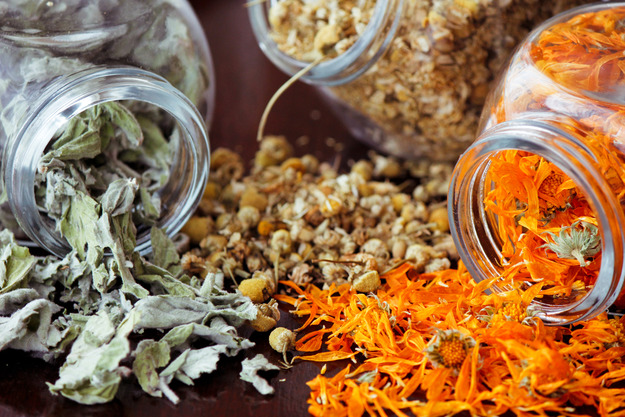Шесть трав для здоровья, которые стоит высушить летом - KitchenMag.ru в 2019 году Шесть трав для здоровья, которые стоит высушить летом - KitchenMag.ru в 2019 году