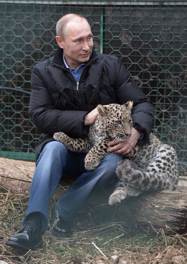 Владимир Путин в свой день рождения прошел почти 9 км по горам