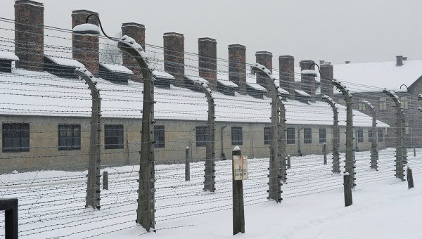 Немецкий историк: Освенцим освободил СССР, а не Польша, Запад и НАТО