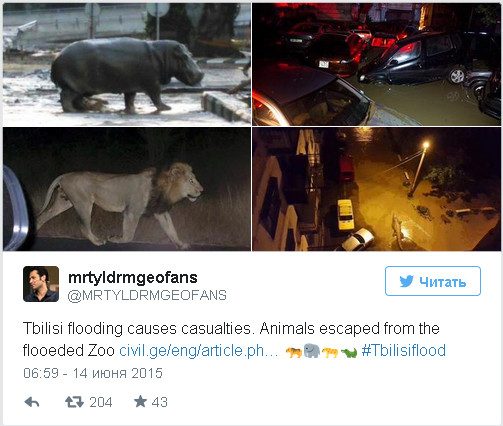 В Тбилиси из зоопарка бежали хищники