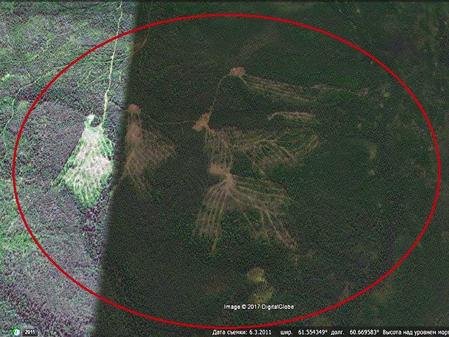 Уральский исследователь обнаружил рядом с перевалом Дятлова древнейший геоглиф