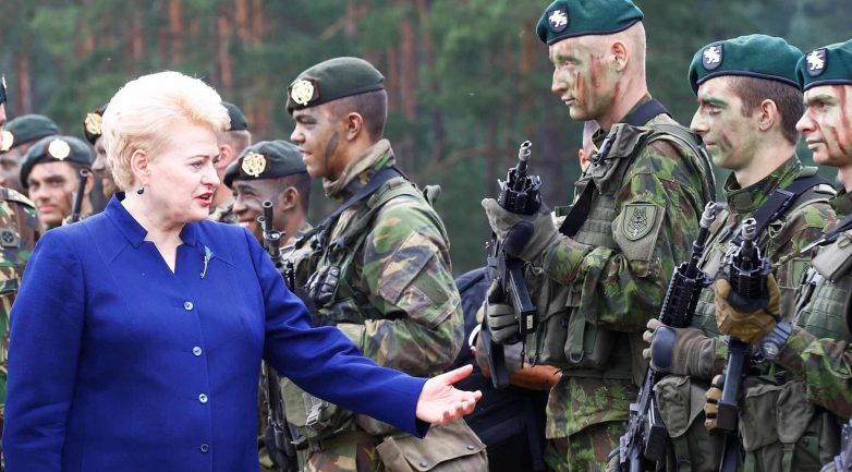 Президент Литвы призвала ЕС обсудить создание военного «шенгена»