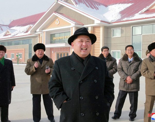Южная Корея выделила деньги на устранение Ким Чен Ына