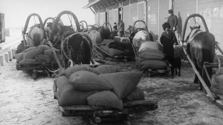 Как бывшие республики СССР подтасовывают факты о голоде 1930-х годов