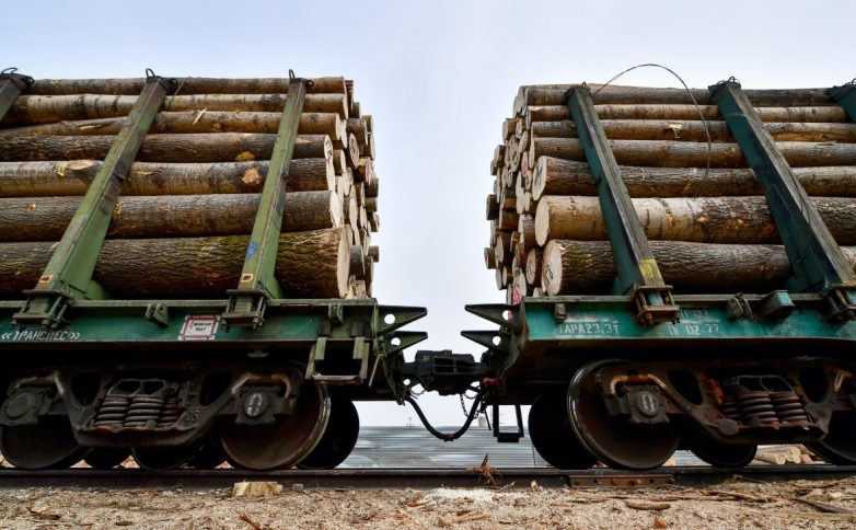 В Минприроды допустили полный запрет экспорта леса в Китай