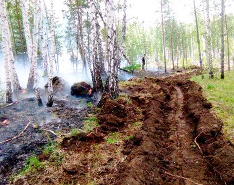 Площадь лесных пожаров в России выросла почти до 8 тысяч гектаров за сутки