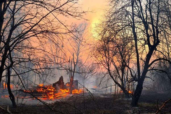 В Чернобыле уже сгорело 12 сел, но огонь не удается остановить