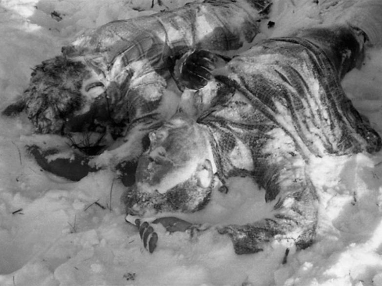 В генпрокуратуре назвали причину гибели группы Дятлова в 1959 году у «Горы мертвецов»