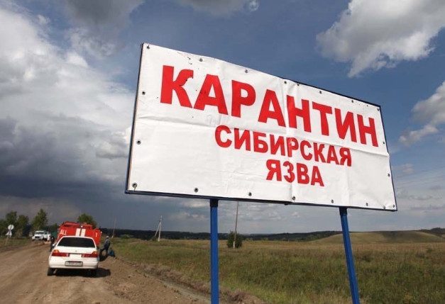 В Туве закрыли на карантин село из-за сибирской язвы