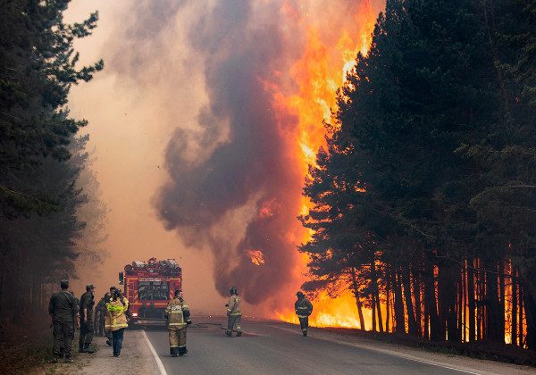 Площадь лесных пожаров в России уже больше территории Греции
