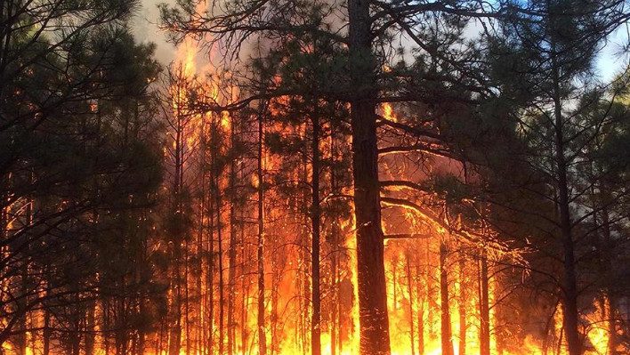 Лесные пожары в России могут стать причиной ядерной катастрофы