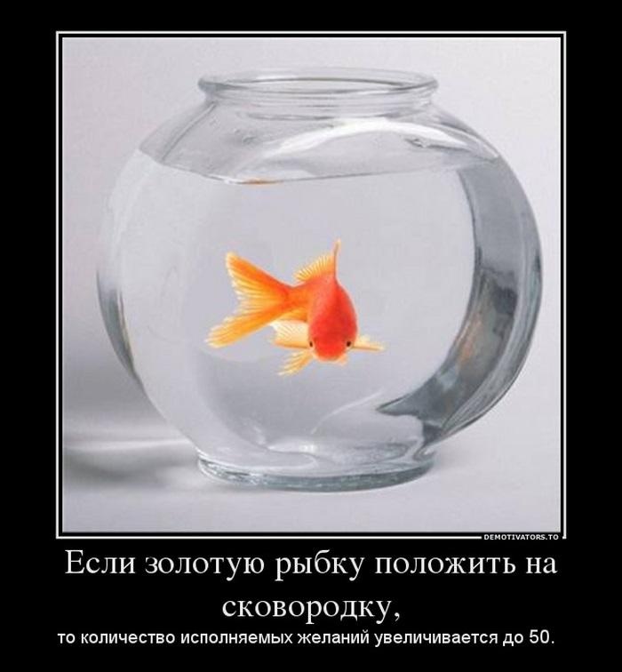 что демотиватор загадай желание фотографий даже