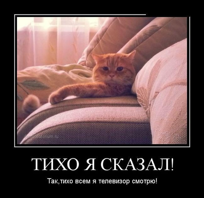 Картинка прикол тихо