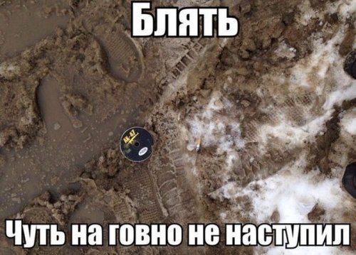 Kartinki I Foto S Prikolami Prikoly