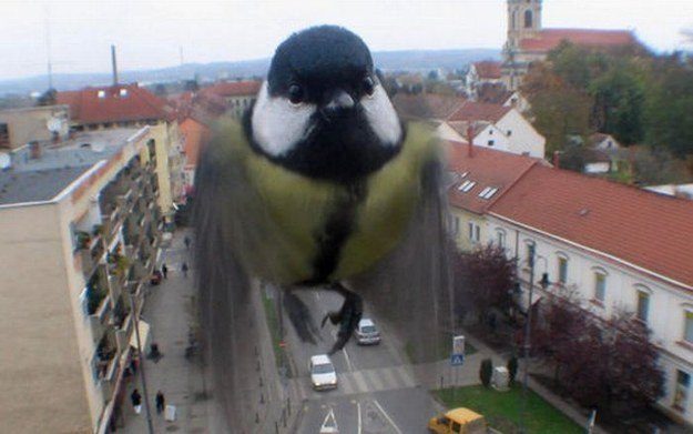 Фотографии, снятые в нужный момент