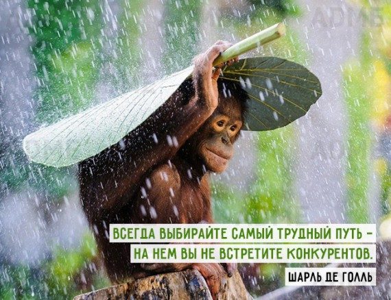 Вдохновляющие цитаты на все времена