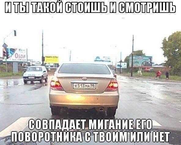 Забавные фотомемы