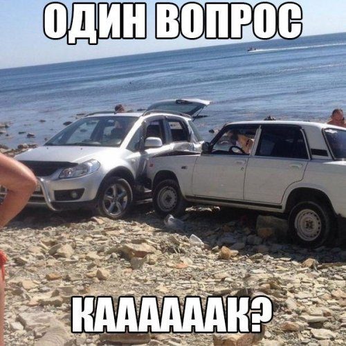 Прикольные картинки