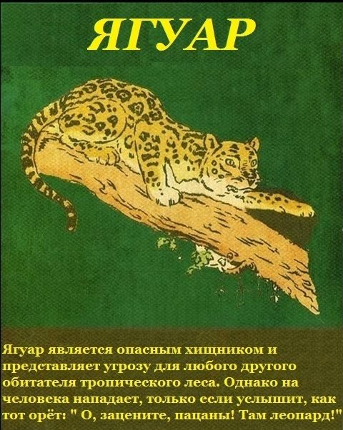 Веселящие картинки / Приколы