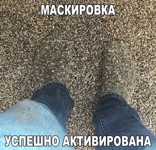 Смешные фотомемы