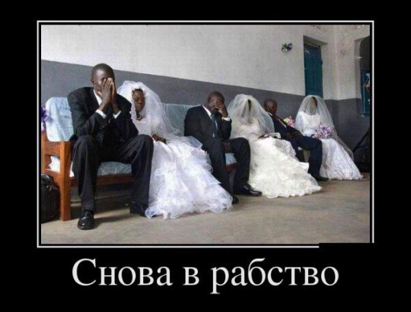 Демотиваторы про свадьбу