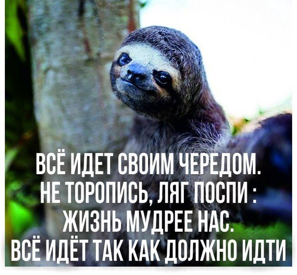 Не спеши картинки прикольные