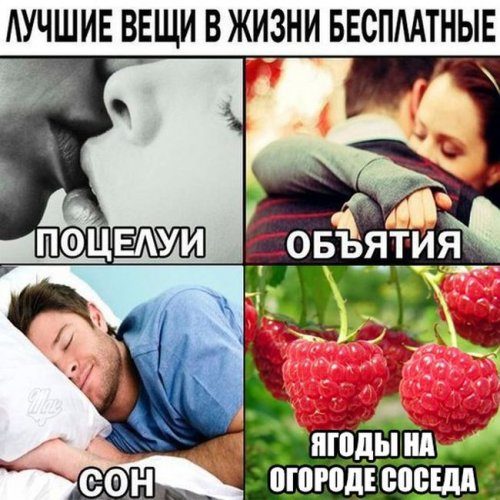 Весёлые картинки