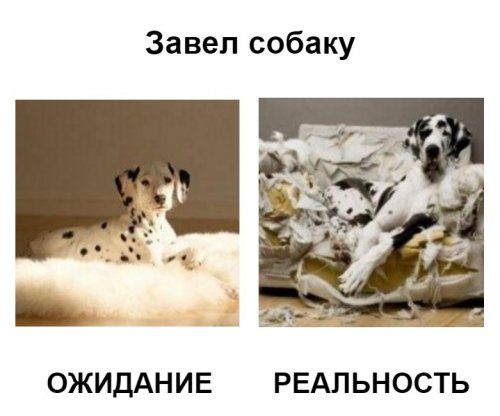 Ожидания и реальность