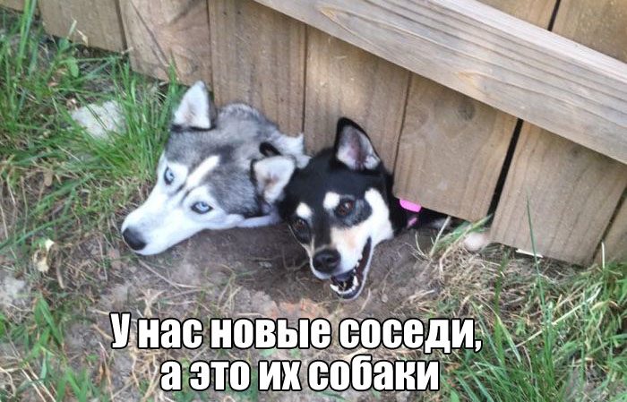 Забавные картинки / Приколы