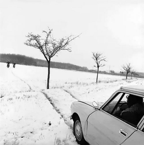 Прикольные уличные фотографии 1950-х годов