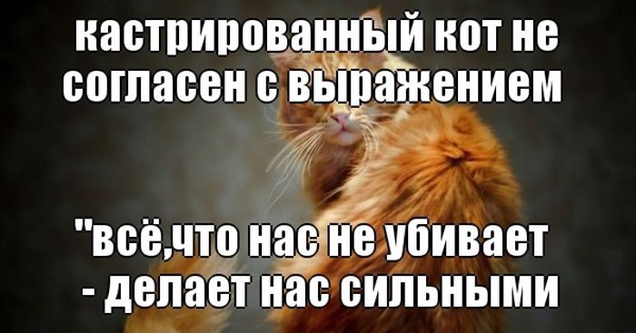 Картинки приколы с текстом