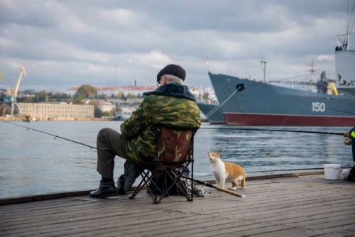 Немного фотоприколов и смешных картинок