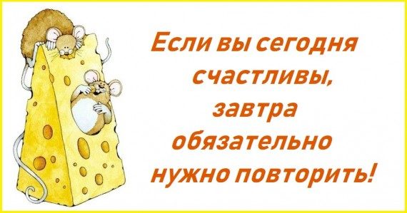 Добрые и смешные открытки / Приколы