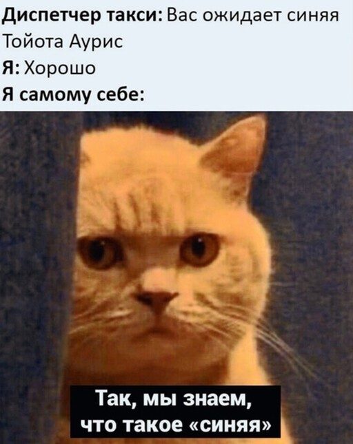 Потешные картинки