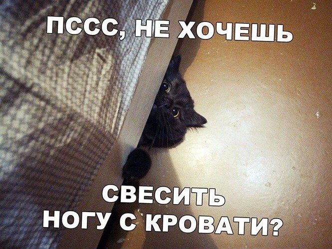 Позитивные приколы