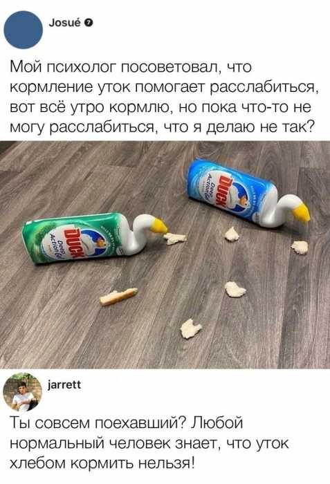 Смешные картинки с надписями!