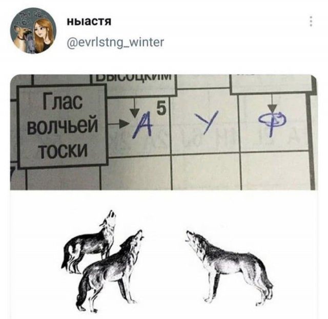 Свежие шутки и мемы