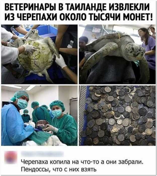 Новости - прикольности