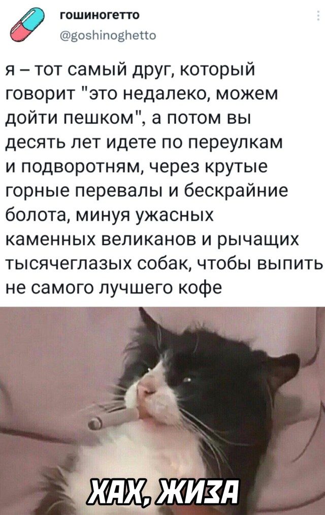 Смешно и прикольно