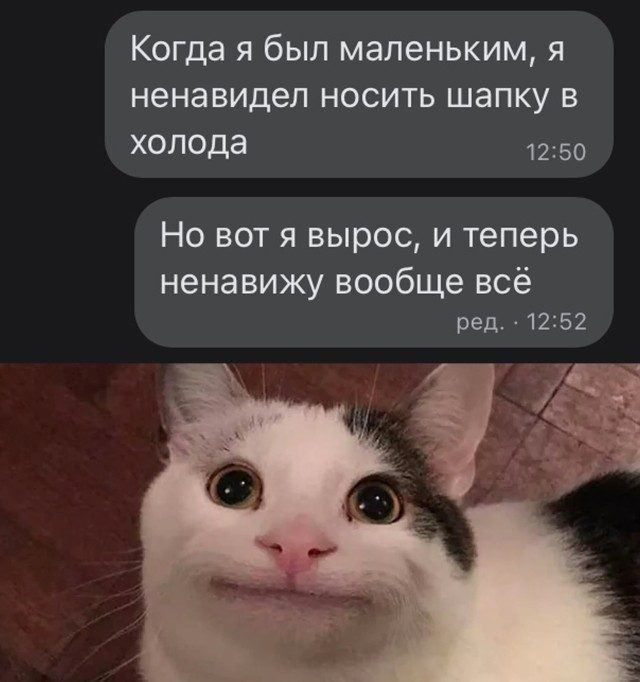 Смешно и прикольно