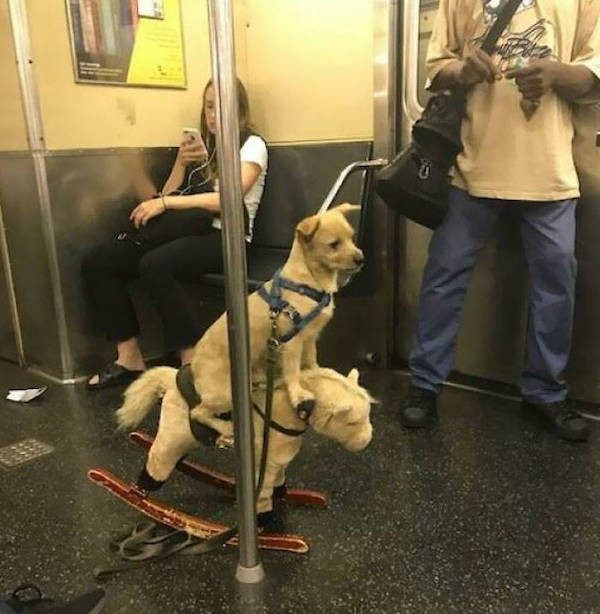 Прокатимся в метро?