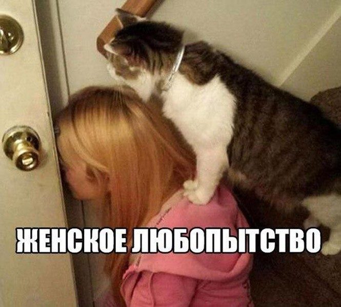 Любопытство картинки прикольные